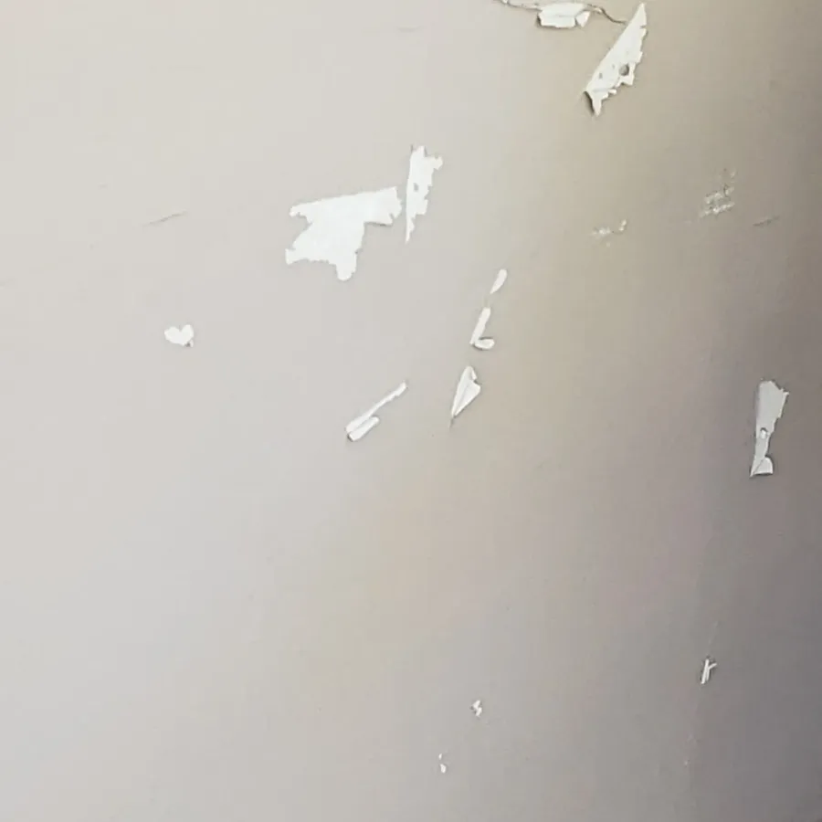 Interior wall paint chipping and peeling in patches