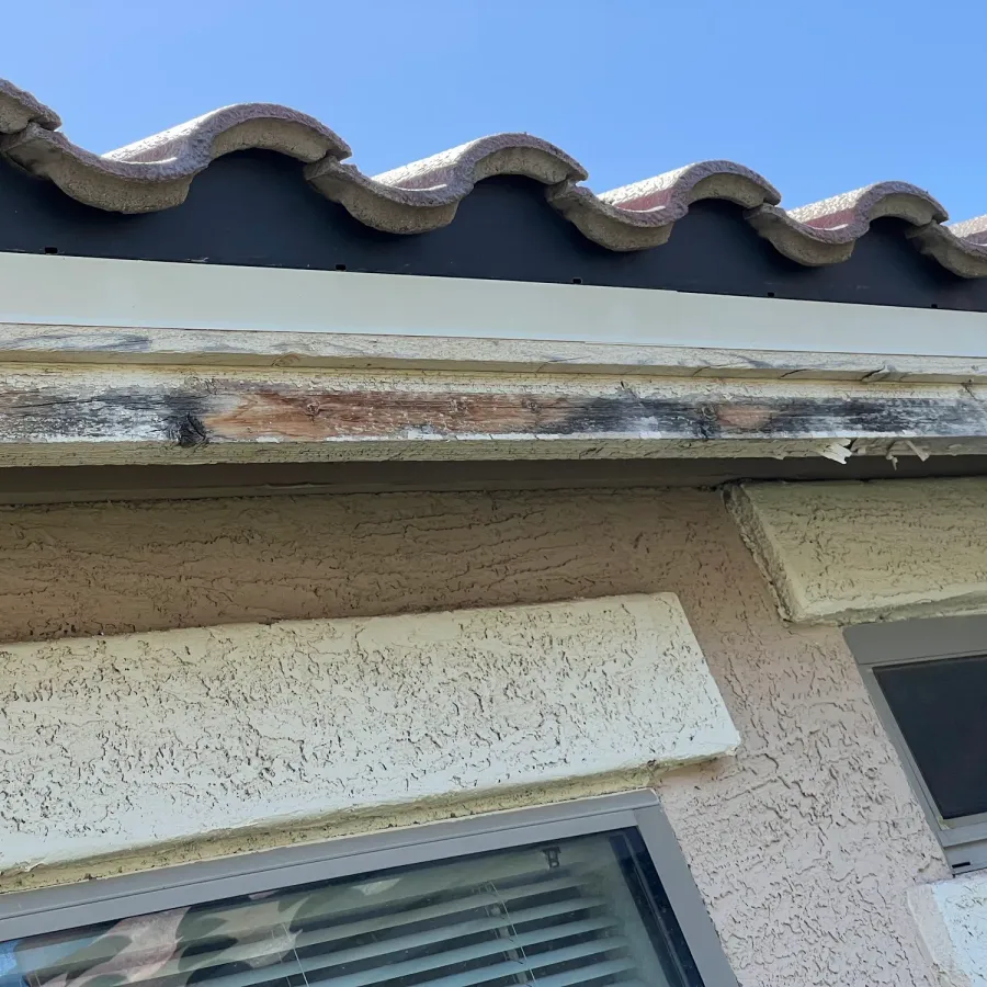 Flaking paint along the trim board under a roof edge